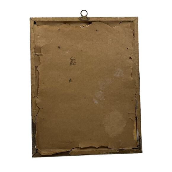 J Gould Splendid Grass Parakeet Offset Litho Print Framed - Picture 2 of 9